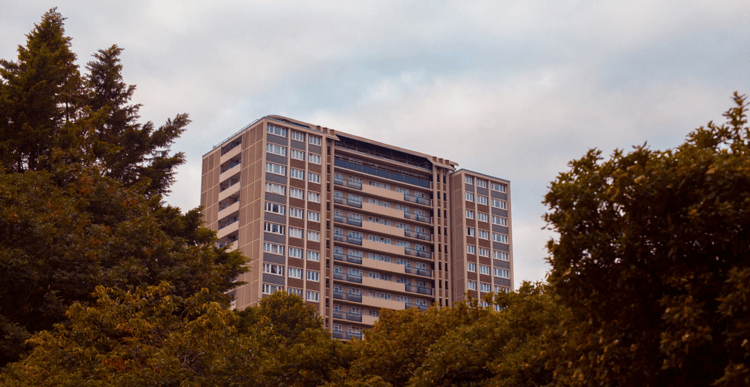 Flats through Trees Landscape