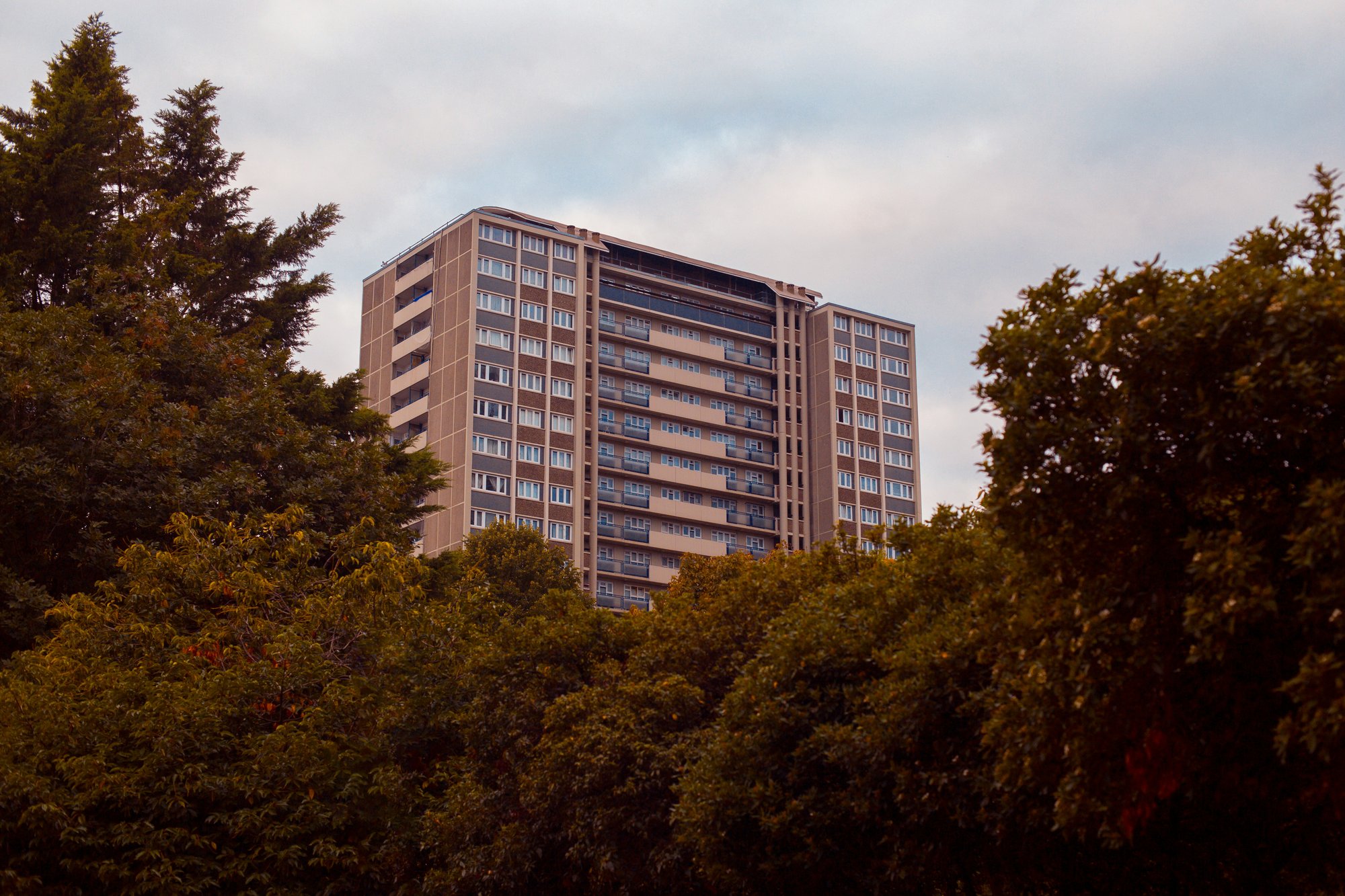 pedro-ramos-RrmkrKFluU0-unsplash pedro-ramos-RrmkrKFluU0-unsplash