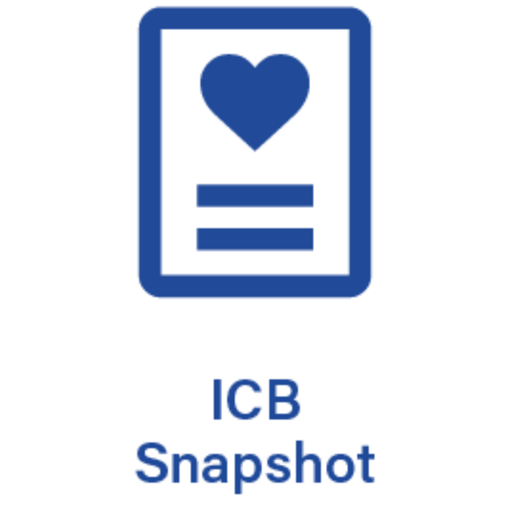 ICB Snapshot Tool Logo V1